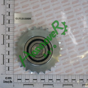 Зірочка Z-23 з обгінною муфтою під вал 20mm G17131500, Gaspardo 